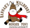 Hannah's Willberry Wonder Pony Charity